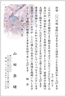 sakurab250.gif